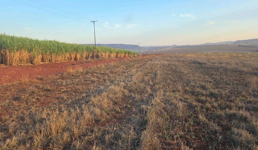 Imagem do imóvel Imóvel Rural | Rio Verde/GO