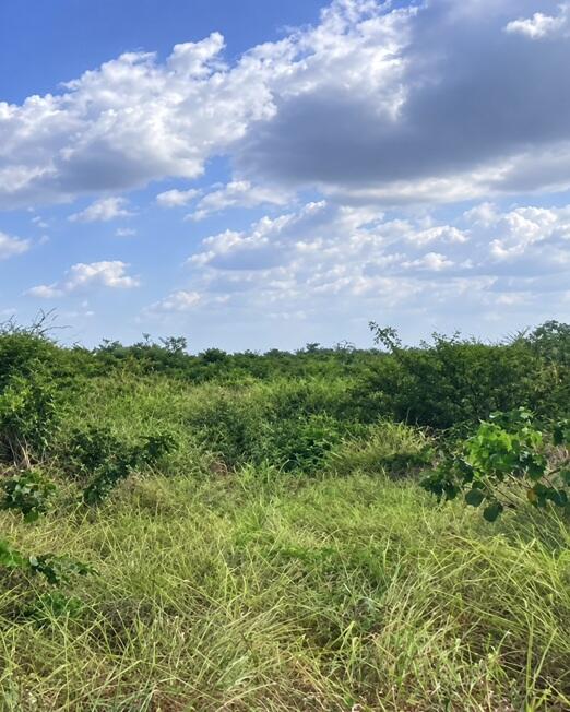 Gleba no Fazenda Rangel em Bela Vista do Maranhão/MA — foto 1