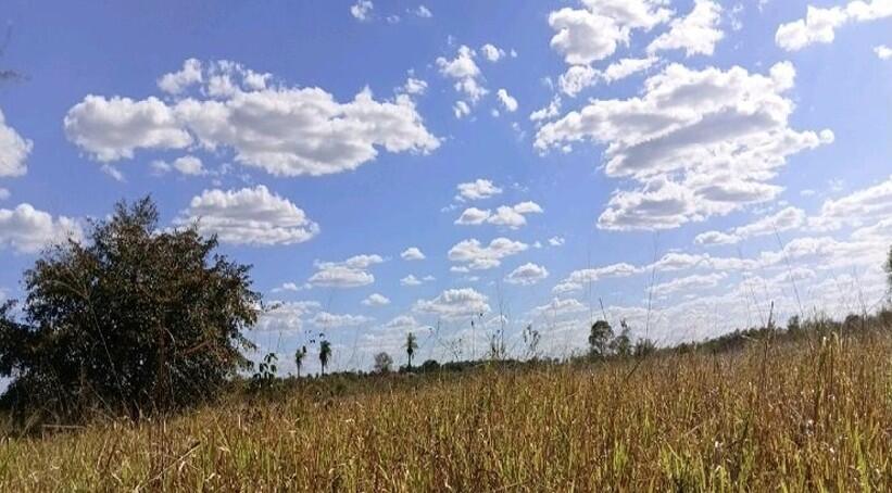 Gleba no Três Buritis em Sítio Novo/MA — foto 1