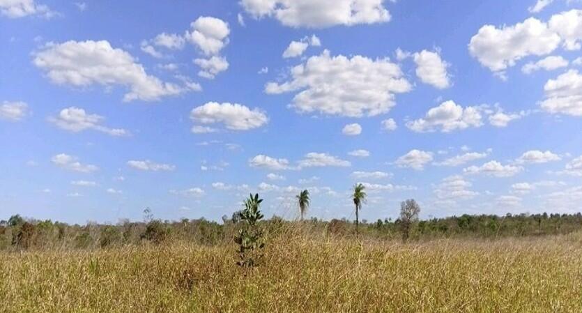 Imagem do imóvel Imóvel Rural | Sítio Novo/MA