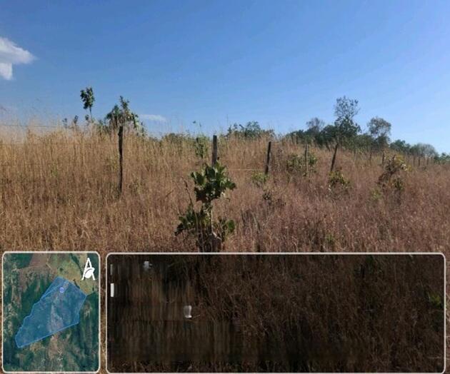 Gleba na Fazenda Fartura em Paranã/TO — foto 1