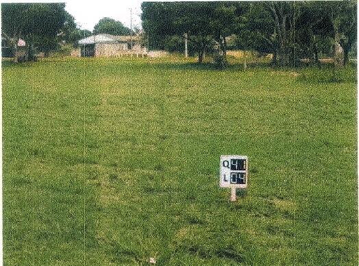 Terreno no Sitio Gravatá I (foto 6 de 7)