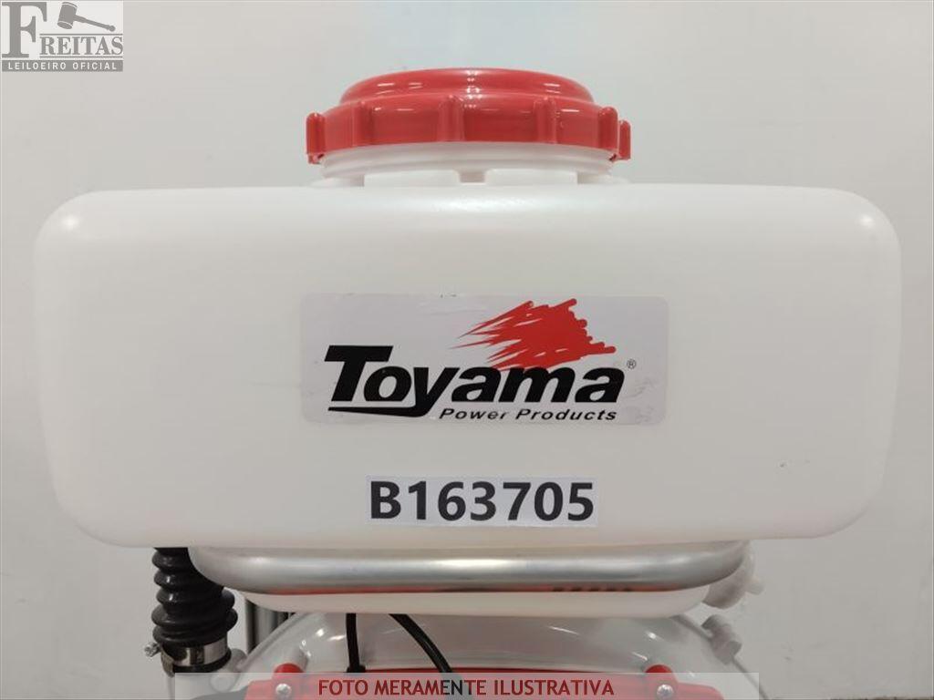 (B163705) LOTE COM 01 ATOMIZADOR A GASOLINA TOYAMA TMD57BU. PRODUTO(S) SEM A VERIFICAÇÃO DO FUNCIONAMENTO — leilão em Internet (São Paulo/SP (foto 5)