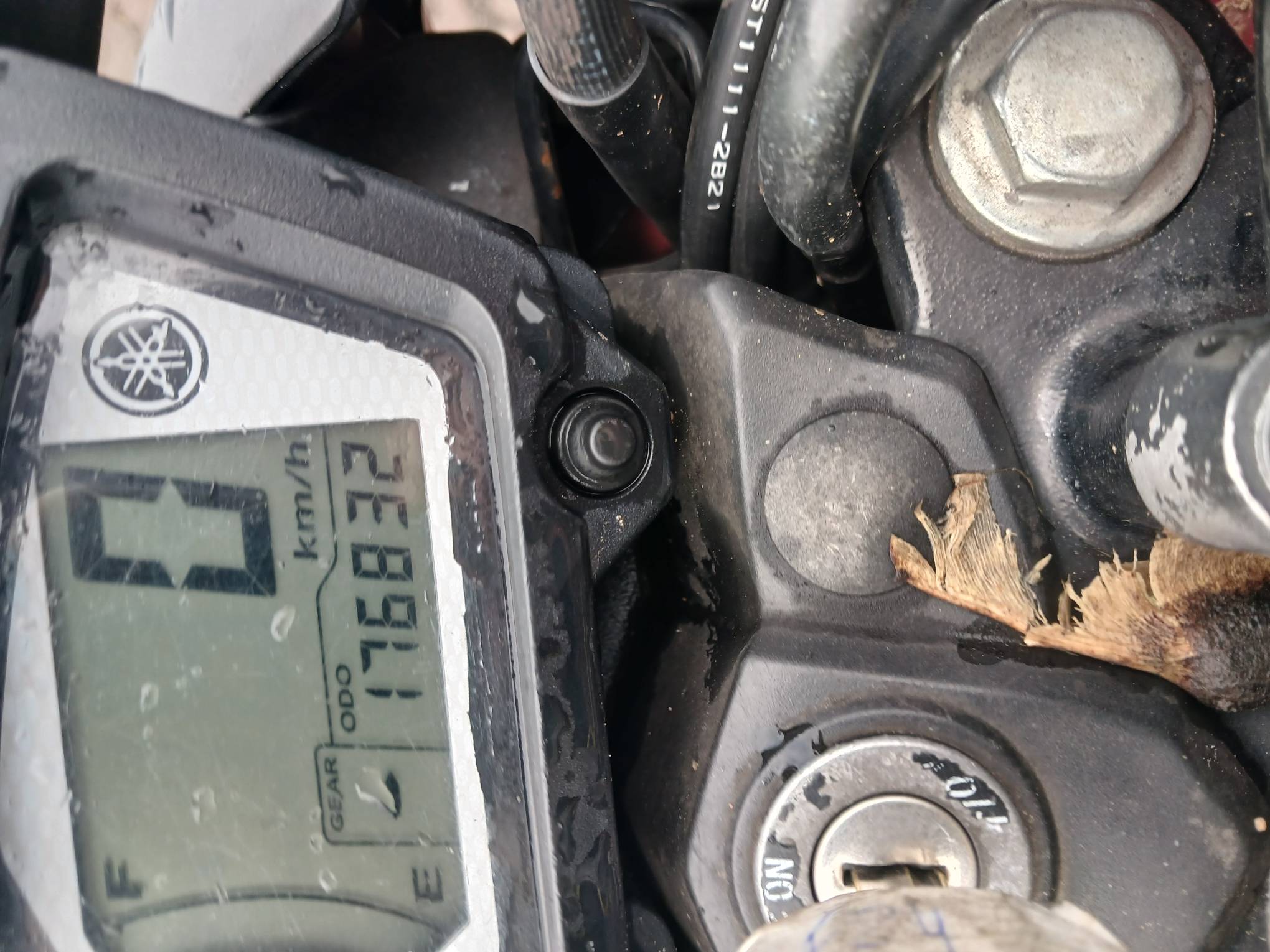 Foto 15 de 15: YAMAHA/YS150 FAZER SED, 22/22, PLACA: F__-___5, GASOL/ALC, VERMELHA